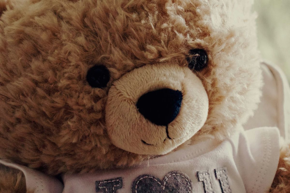 SHORT STORY: The Adventures of Little Bear by Tamara Clelford