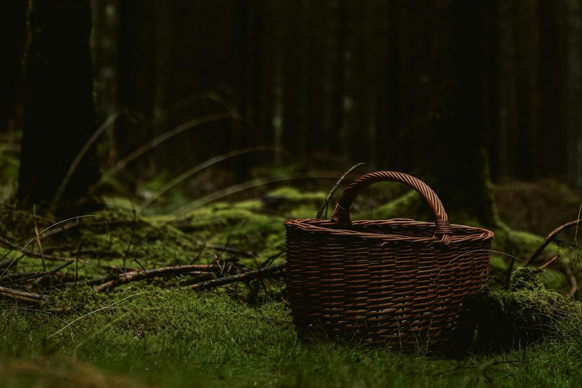 Harvey baskets explained