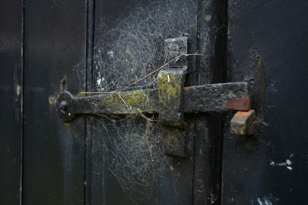 Flash!Mob April: TANGLED WEB