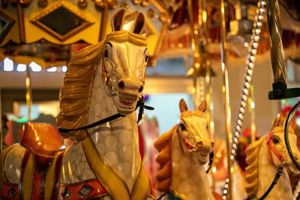 Flash!Mob July: ALL THE KING'S HORSES