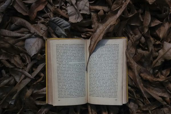 Bonus Flash!Mob for September: BETWEEN THE PAGES