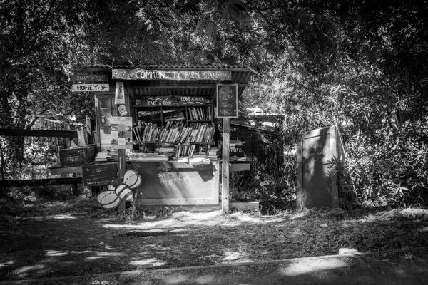 Out now: SOMEWHERE I BELONG