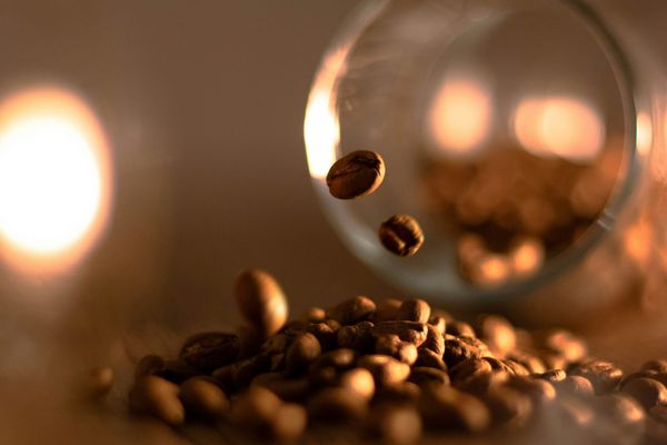 Flash!Mob Feb26: SPILL THE BEANS