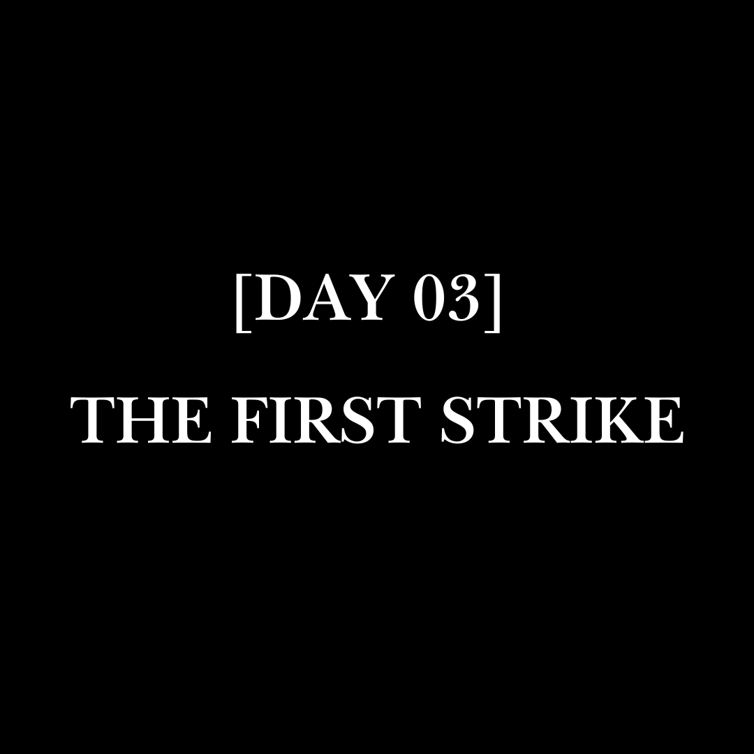 [DAY 03] // THE FIRST STRIKE