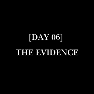 [DAY 06] // THE EVIDENCE