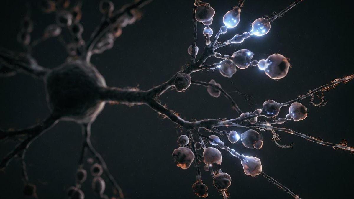 Brain Thermodynamics