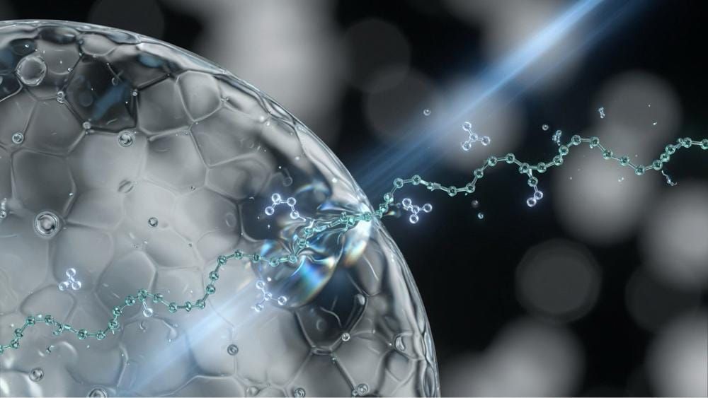Molecular Bioengineering and Biotechnology: Analytical Frameworks in Modern Therapeutics