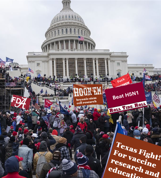 Nation in Chaos as Texas, Alabama Fans Storm Capitol for NIH Funds