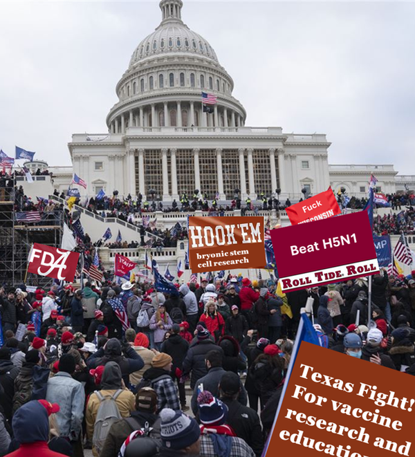 Nation in Chaos as Texas, Alabama Fans Storm Capitol for NIH Funds