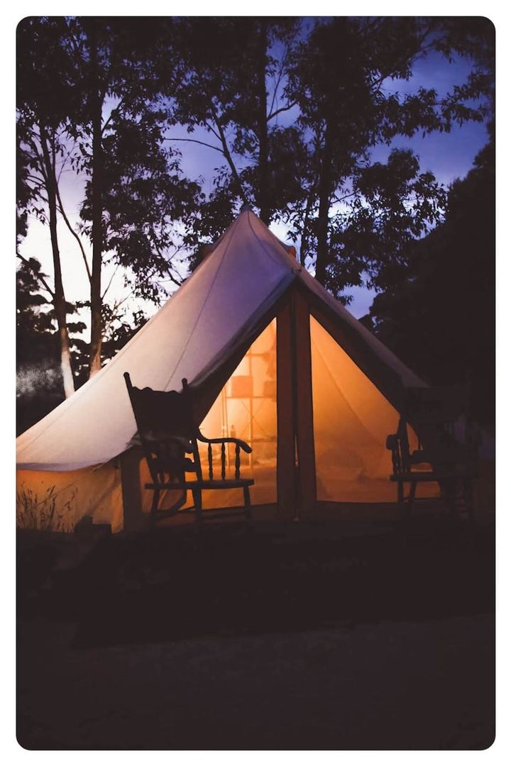 Transform Your Glamping Business: The Power of a Professional Website