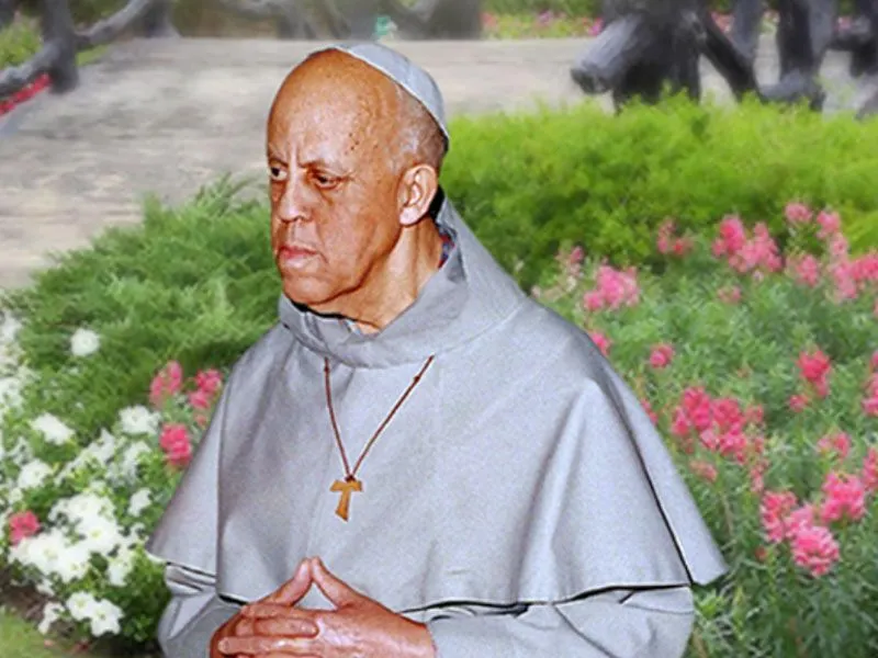 I believe Fr Martin Maria de Porres Ward, OFM Conv. should be a saint. Here's why.