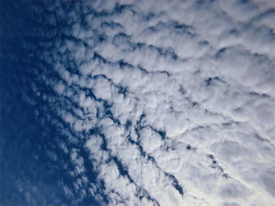 Letter to you | March 2024