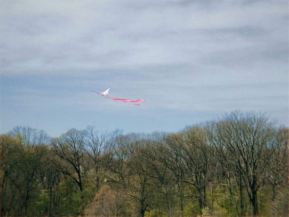 Letter to you | April 2024