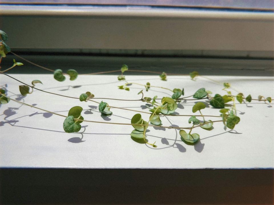 Letter to you | May 2024