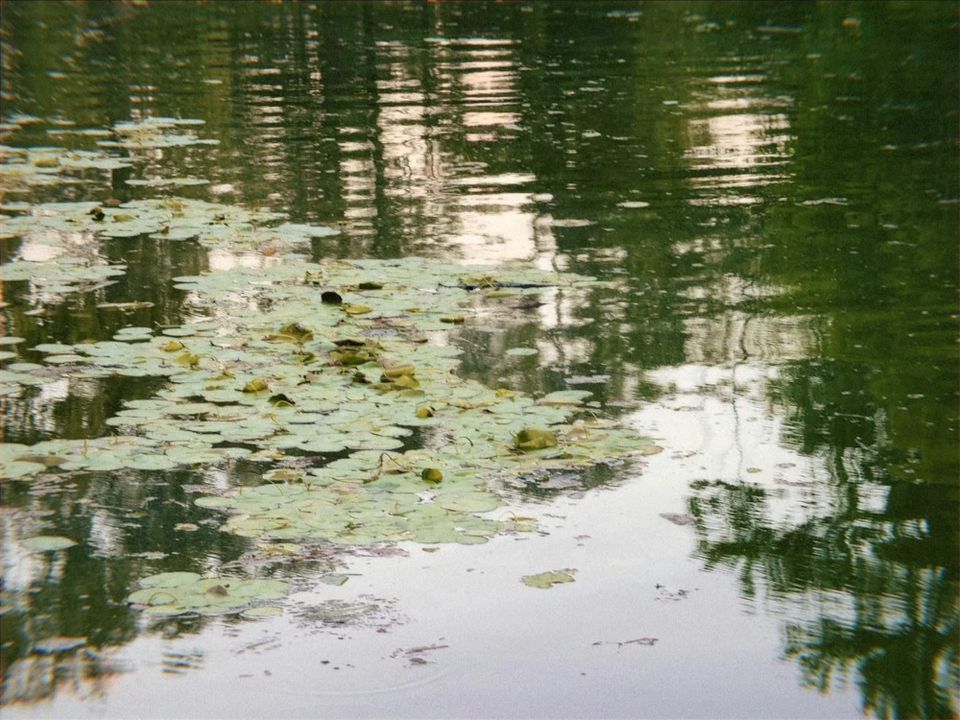 Letter to you | June 2024