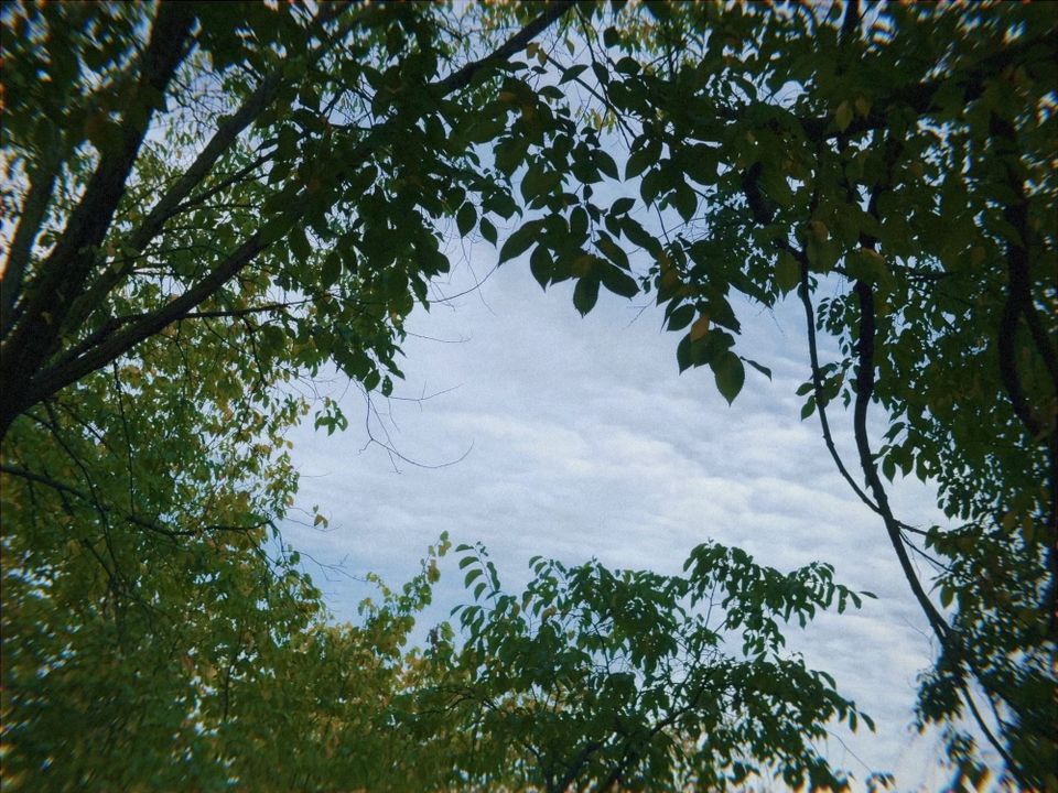 Letter to you | Sep 2024