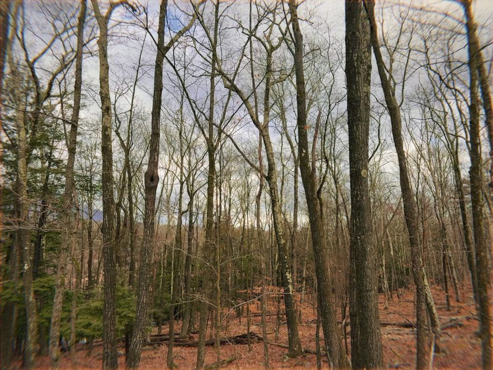 Letter to you | March 2025