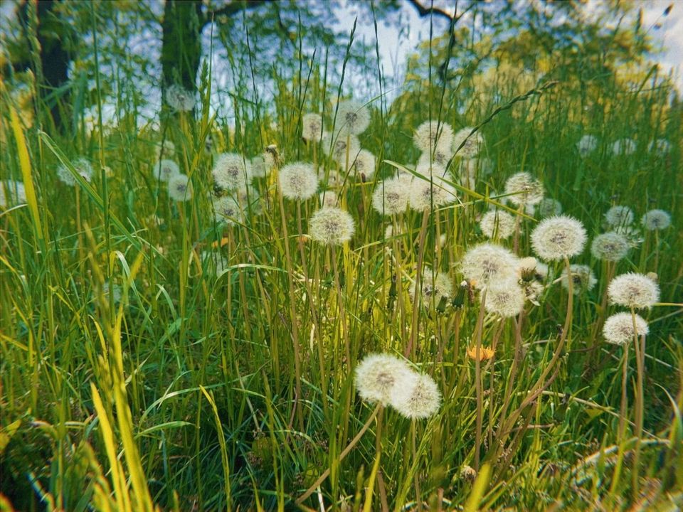 Letter to You | May 2025