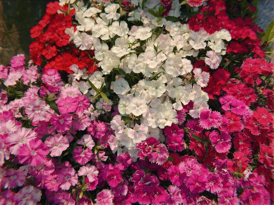 Letter to You | June 2025