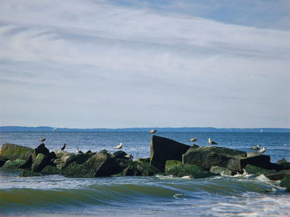 Letter to You | Aug 2025