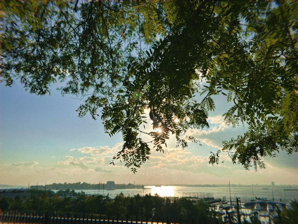 Letter to You | Sep 2025