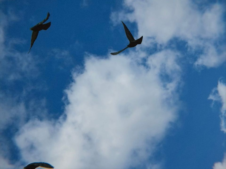 Letter to You | Nov 2025