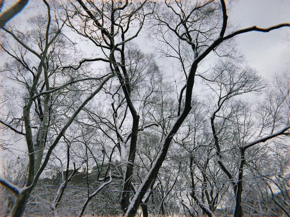 Letter to You | Dec 2025