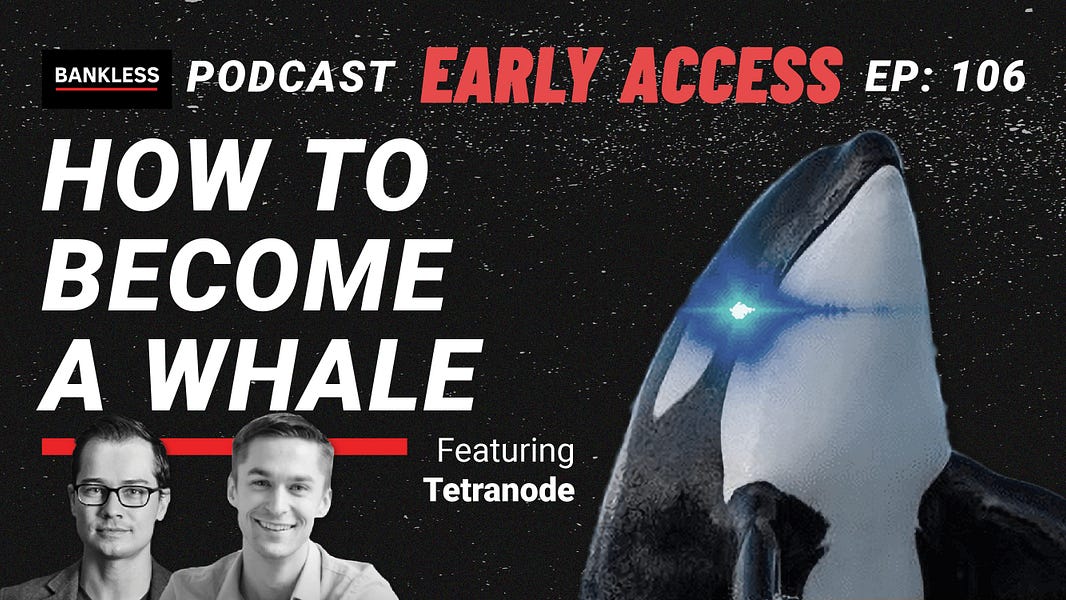 EARLY ACCESS - How to Become a Whale | Tetranode