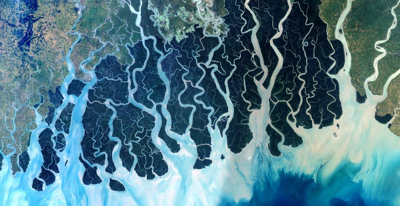 Forest of Tides: The Sundarbans - AramcoWorld Forest of Tides: The Sundarbans - AramcoWorld