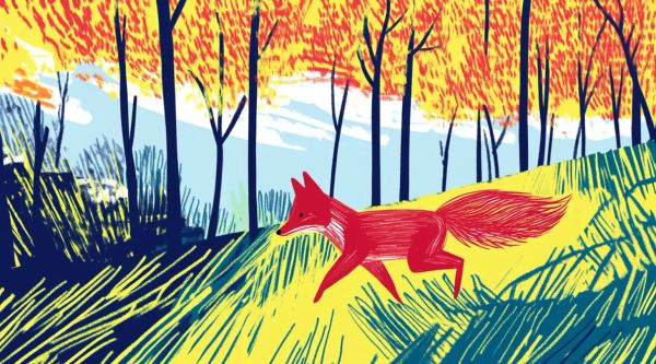 Has ETH Bottomed Out? ($)