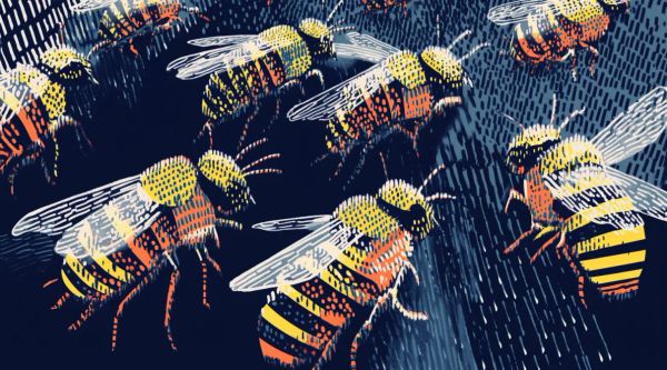 AI Swarms: The Future of Decentralized Agent Networks