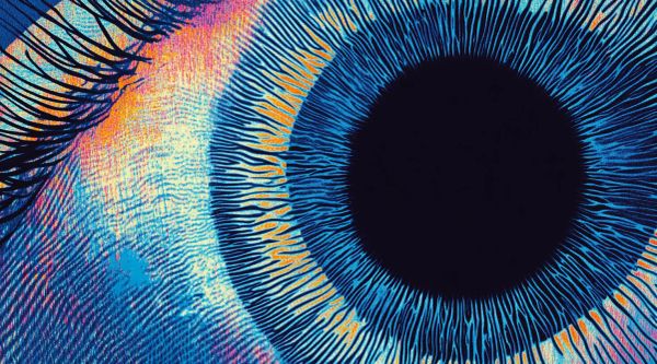 World Surpasses 10 Million Human Verifications