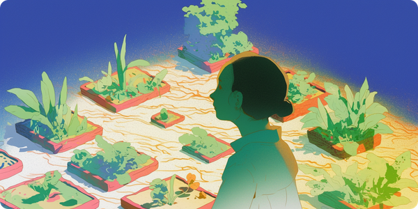 Starknet's Student Boom