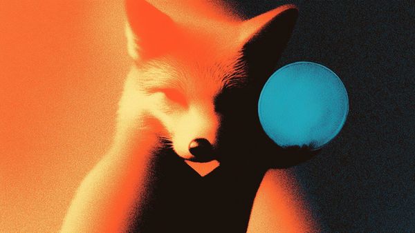 MetaMask Stablecoin Goes Live