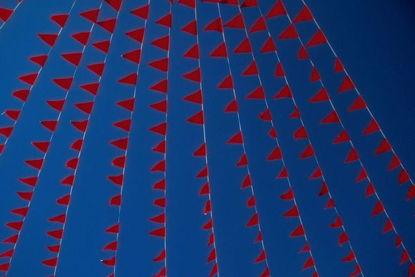 NFT project red flags