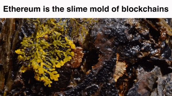 5 Things I Learned from ETH Amsterdam