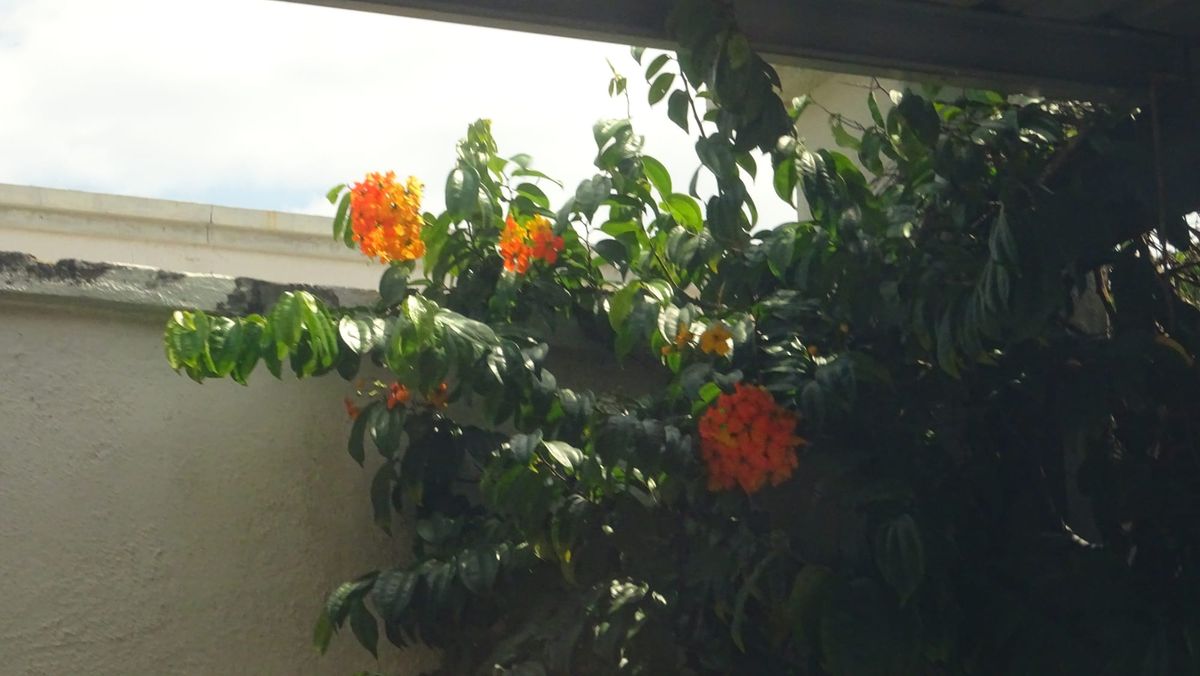 Promises - God does what He says - but what does He say?