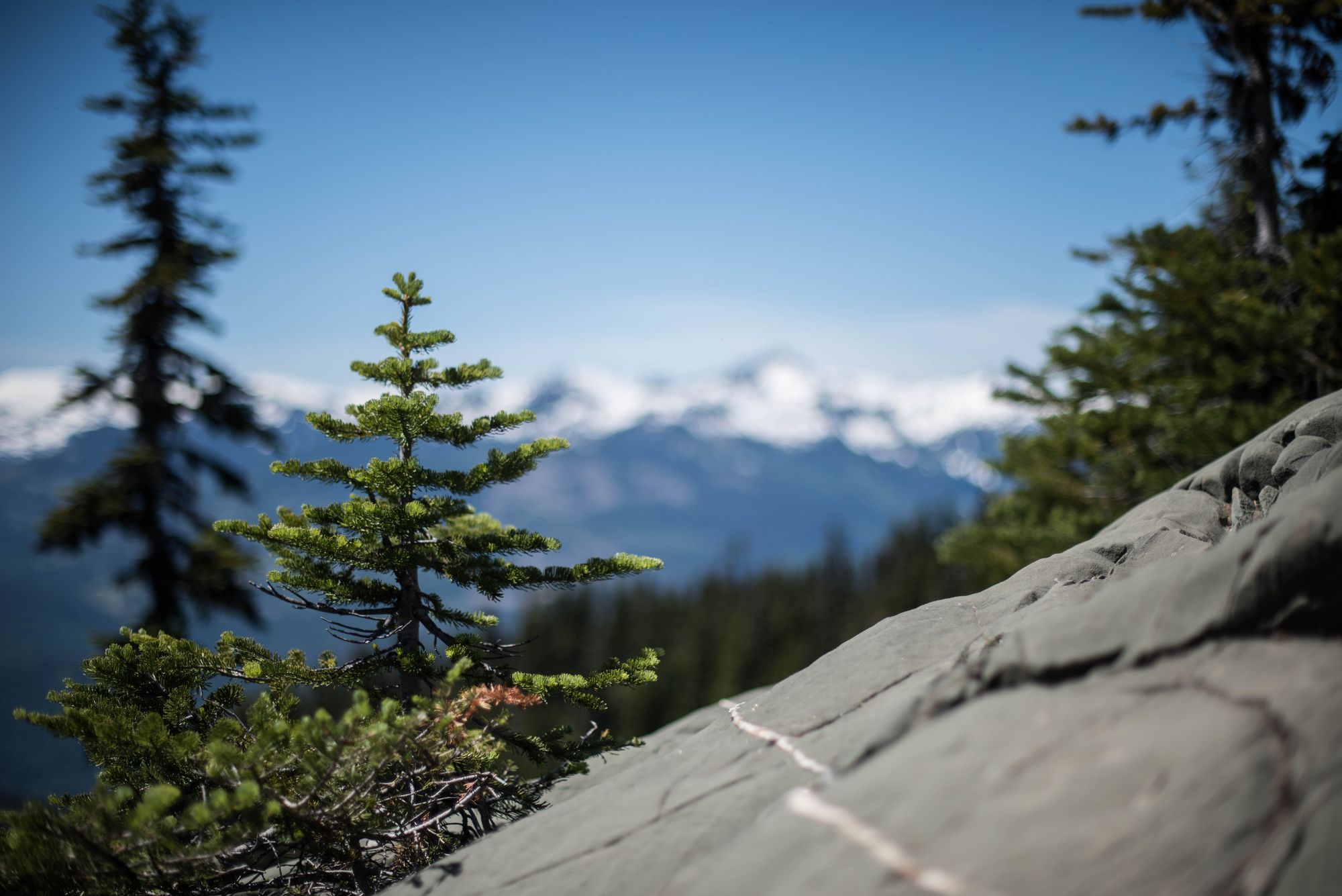 Many thanks to all the wonderful students and their families!