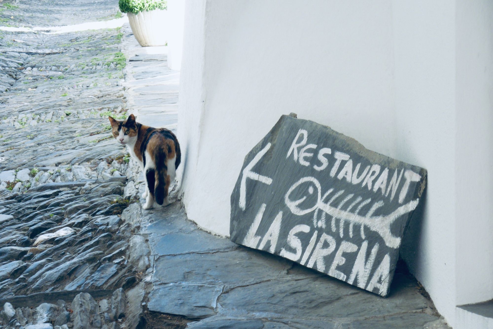 5 jídel, která stojí za to v Katalánsku ochutnat