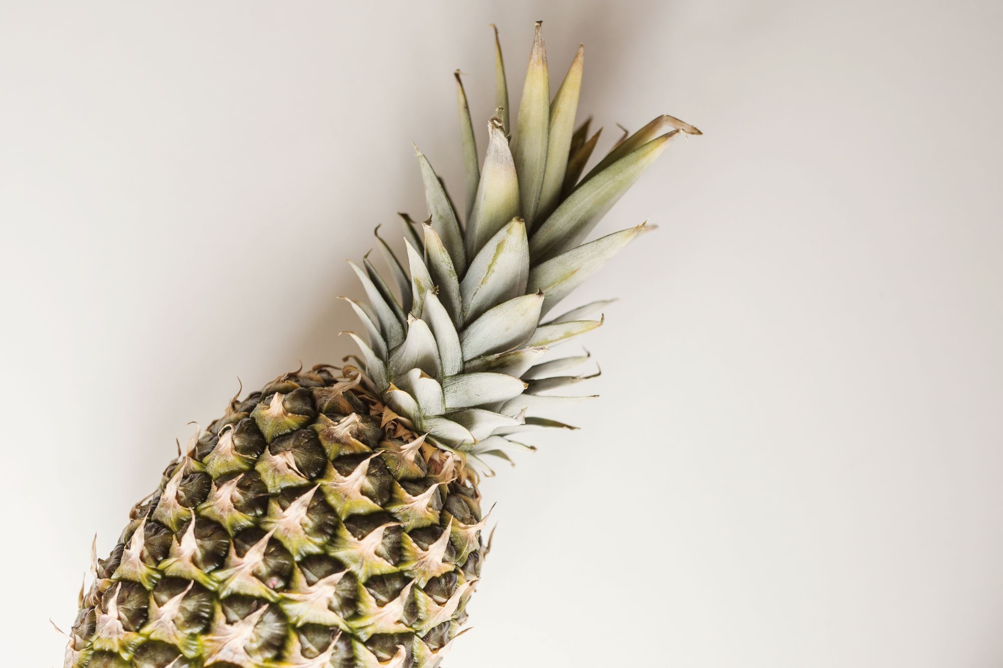 Piña colada