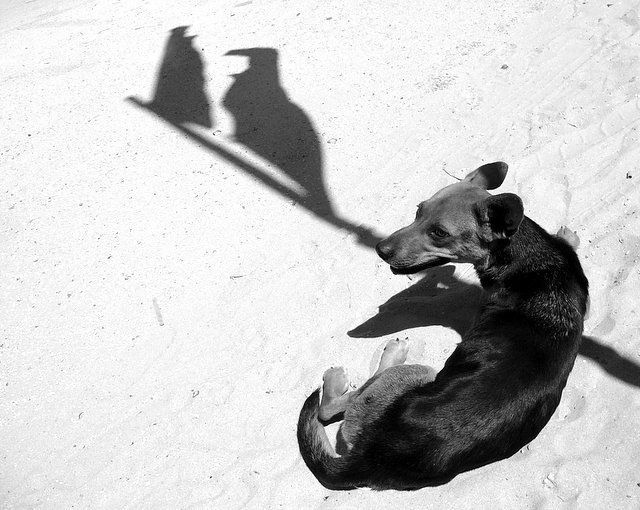 ¡Viva la República Checa!