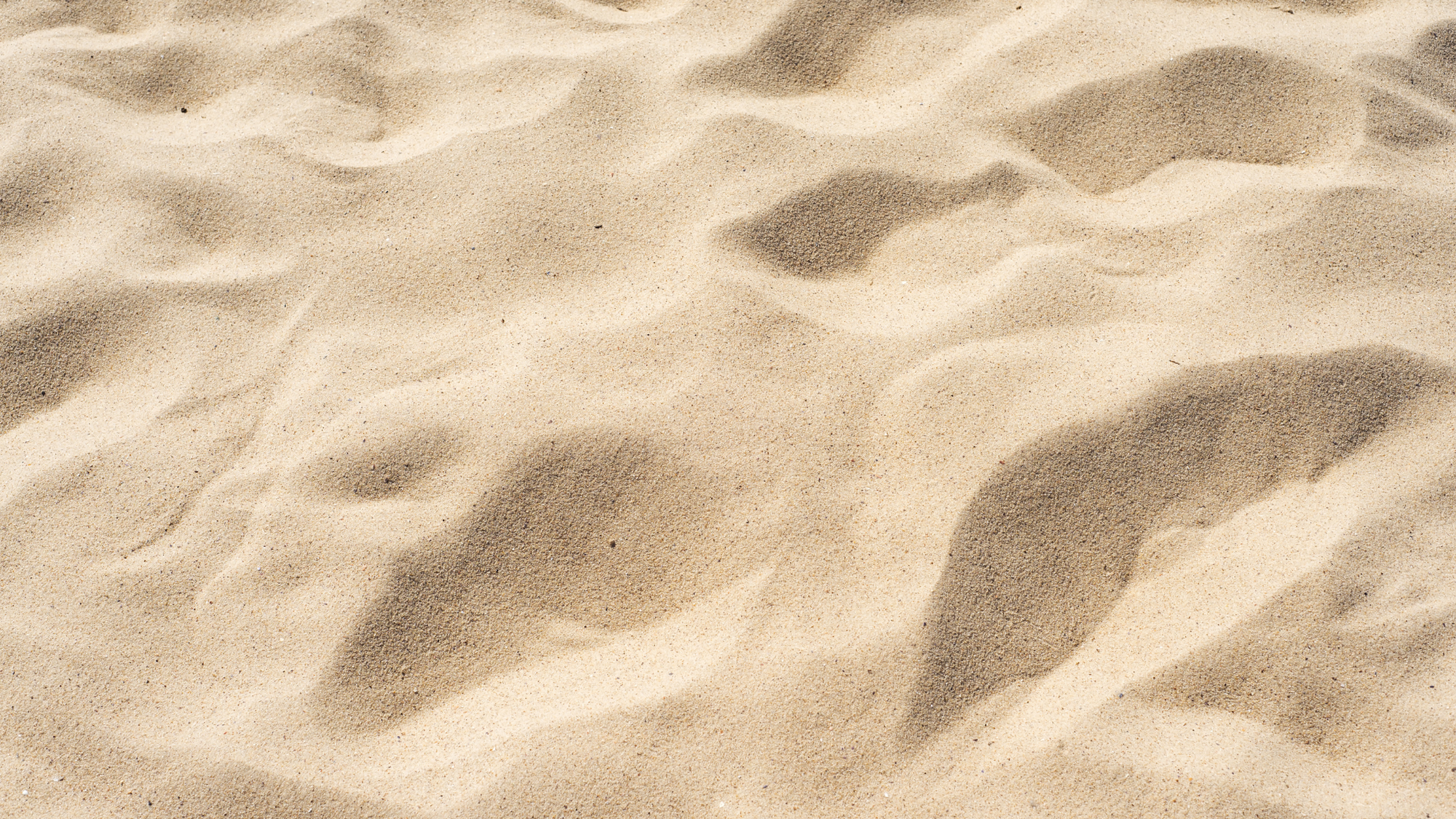 Veverky a zlaté písky na Fuerteventuře