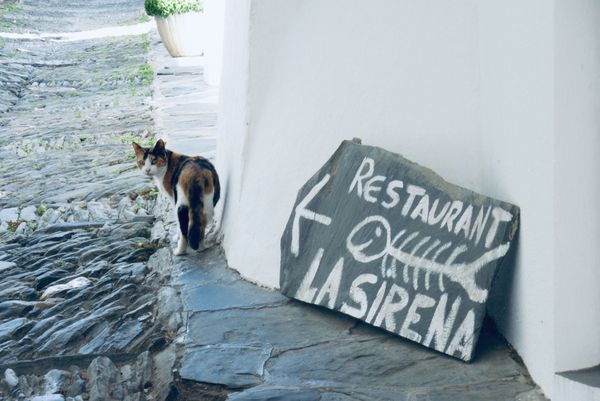 5 jídel, která stojí za to v Katalánsku ochutnat