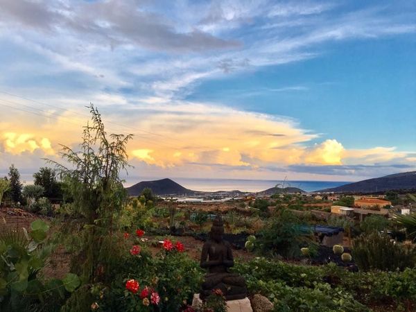 Under the sun. Un programa de inmersión lingüística en Tenerife.