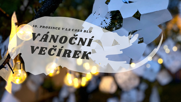 Vánoční večírek 2019