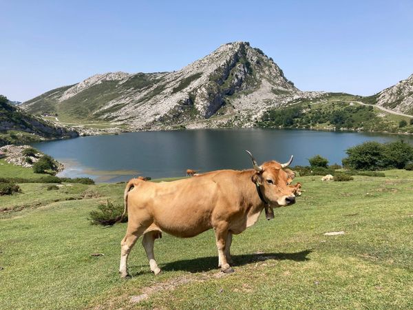 Pět dní v Kantábrii a Asturii