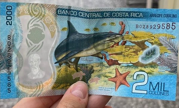 Kostarika: Má vysněná dovolená! Zelená země mezi dvěma oceány