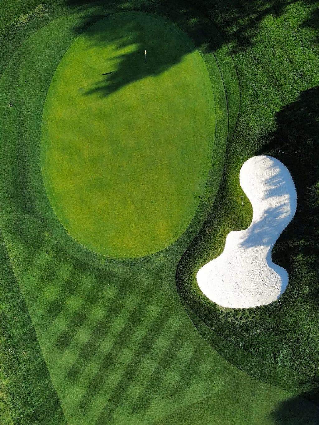 The Fox Puss Invitational Tees Off at Boonsboro