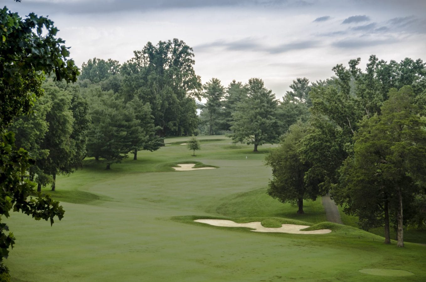 Fox Puss Invitational: Faulkner Leads Open Division After Round One