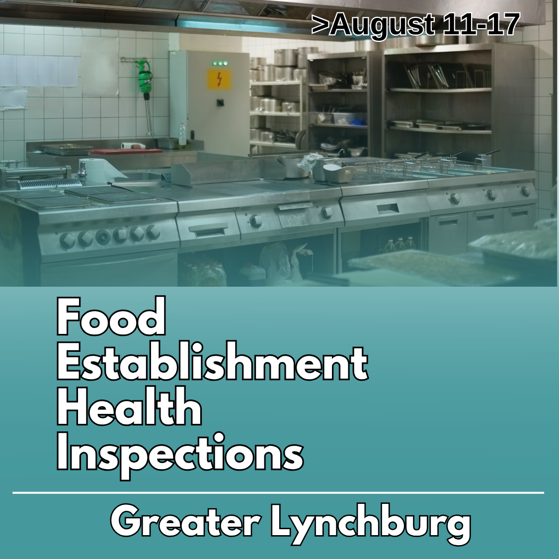 Greater Lynchburg Food Establishment Health Inspections